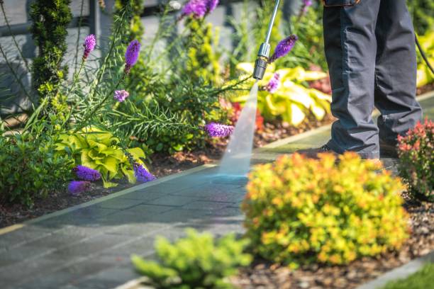 Best Sidewalk and Walkway Cleaning  in Crooks, SD